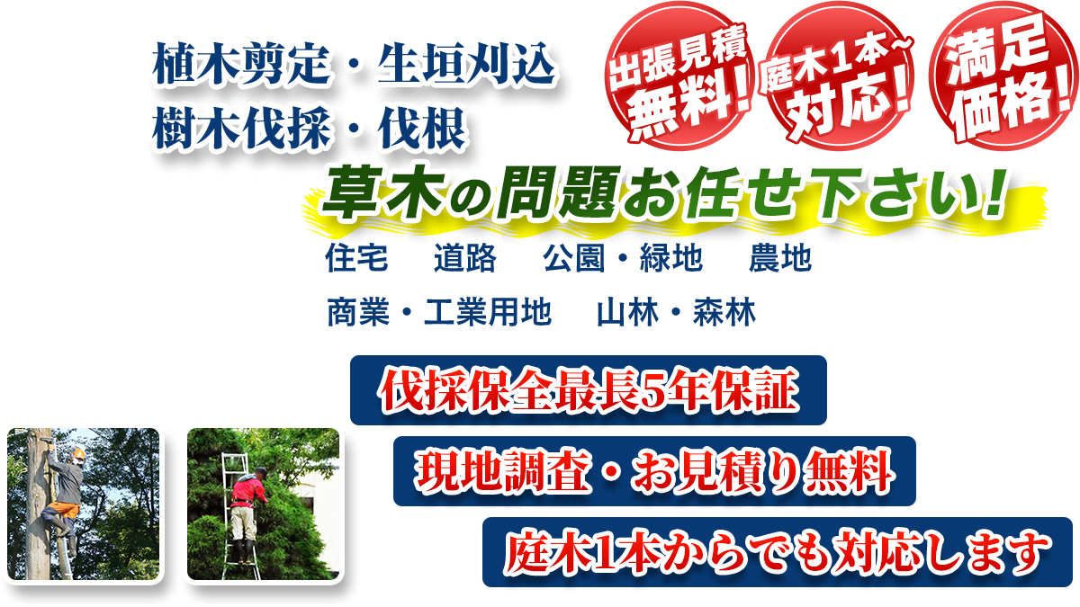 富士見市エリア即対応!! 出張無料! 庭木1本~対応! 満足価格! 植木剪定・生垣刈込 樹木伐採・伐根 草木の問題お任せ下さい! 住宅 道路 公園・緑地 農地 商業・工業用他 山林・森林 伐採保全最長5年保証 現地調査・お見積り無料 庭木1本からでも対応します