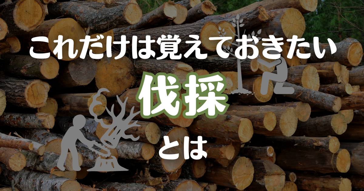 植木伐採、植木抜根、その他家の事なら何でも出来ます - 兵庫県のその他